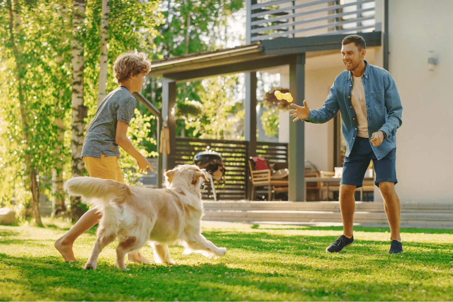 Reculture Life hero banner