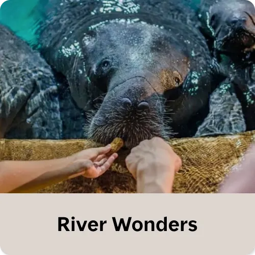 River Wonders