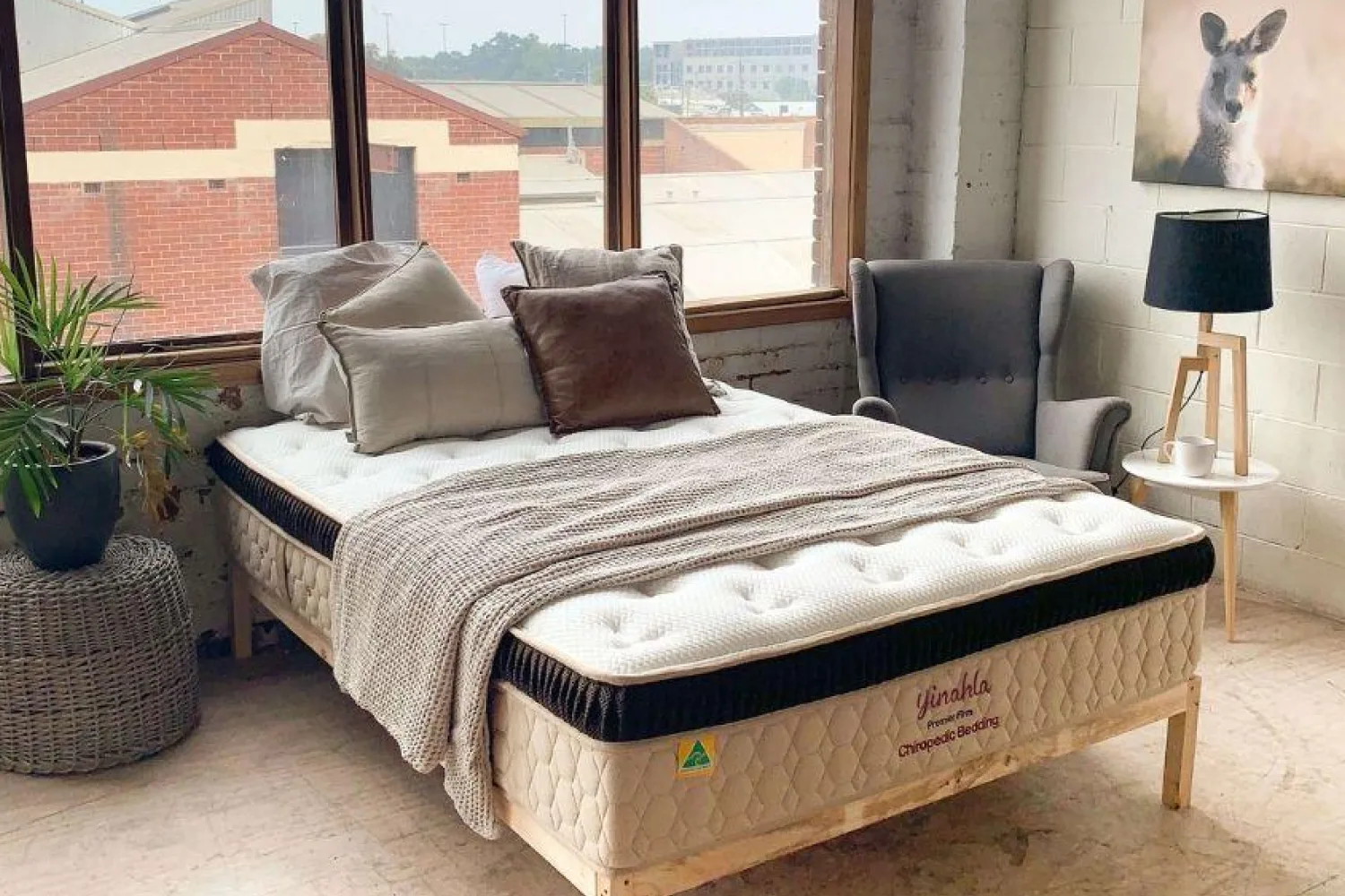 Chiropedic hero banner