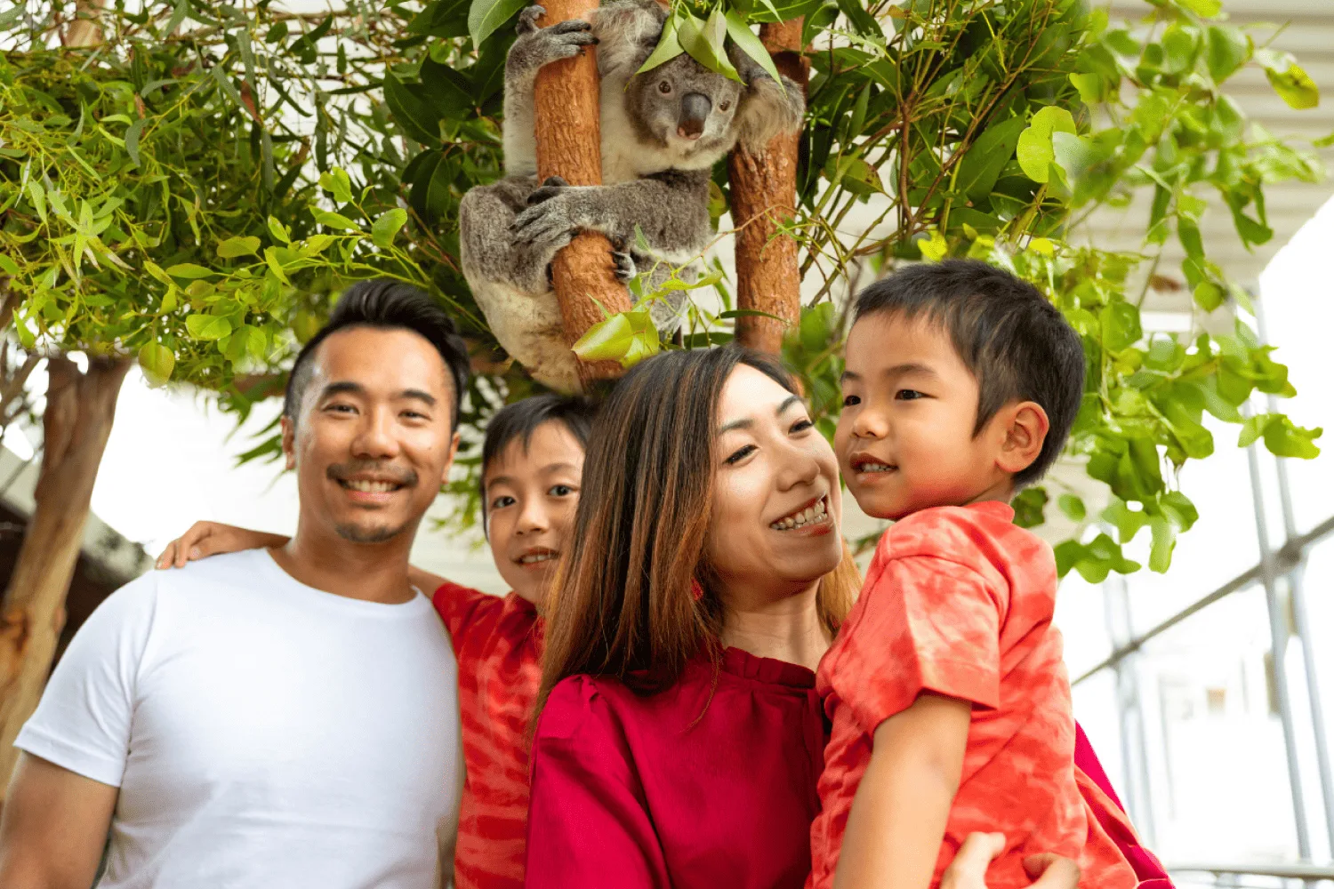WILD LIFE Sydney Zoo hero banner