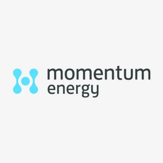 Momentum Energy (Econnex)