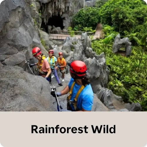 Rainforest Wild