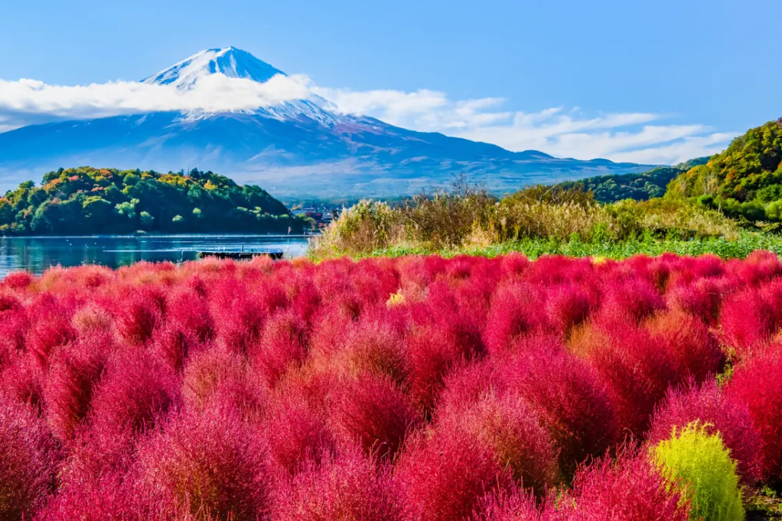 Rakuten Travel hero banner