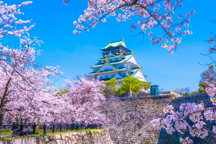 Rakuten Travel hero banner