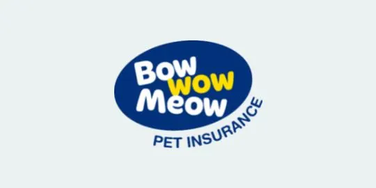 Bow Wow Meow