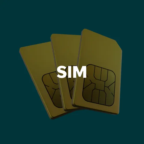 SIM