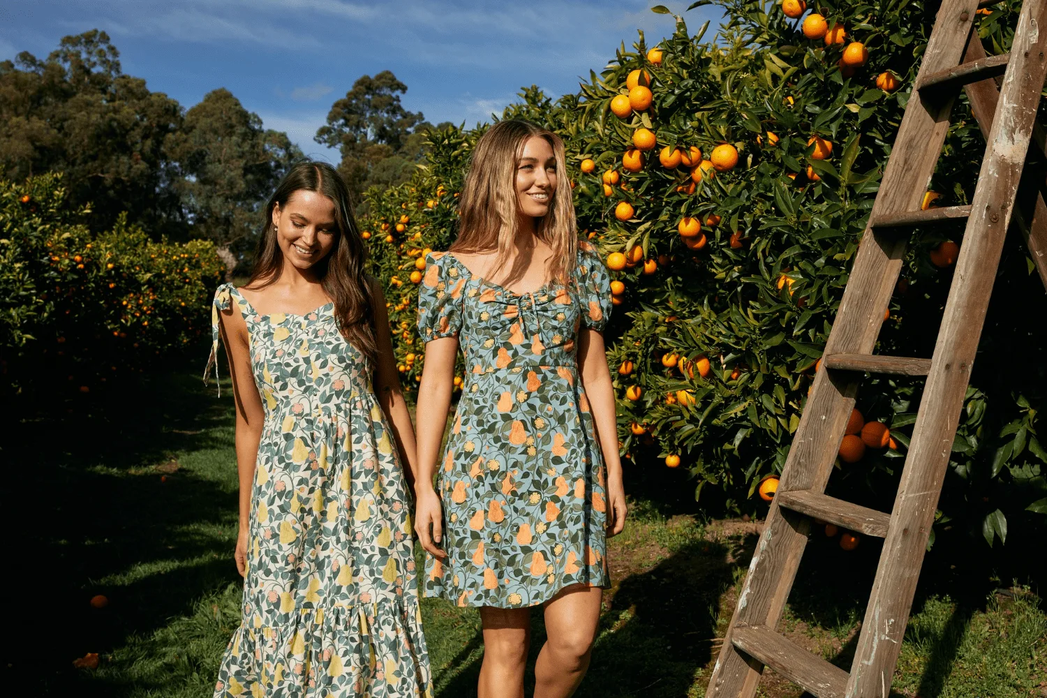 Princess Highway hero banner