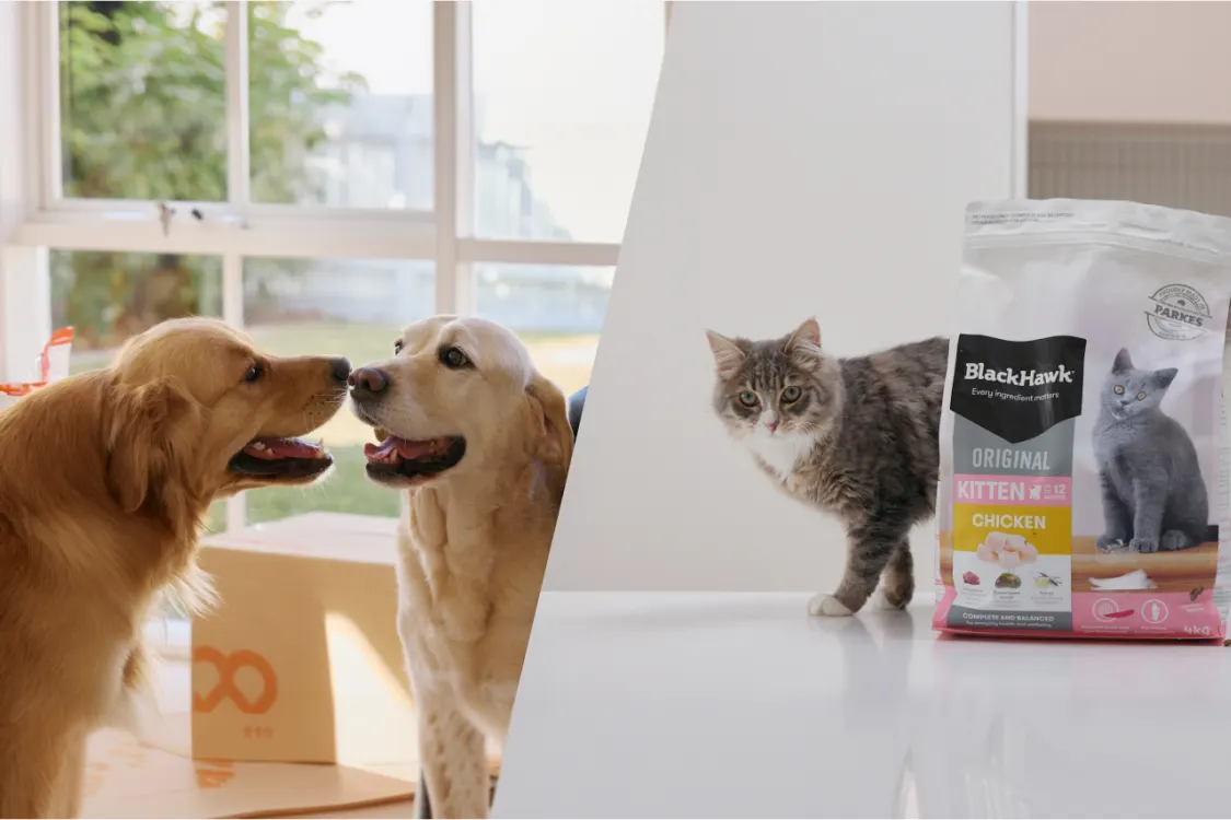 Petpost hero banner