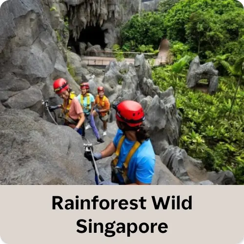 Rainforest Wild Singapore