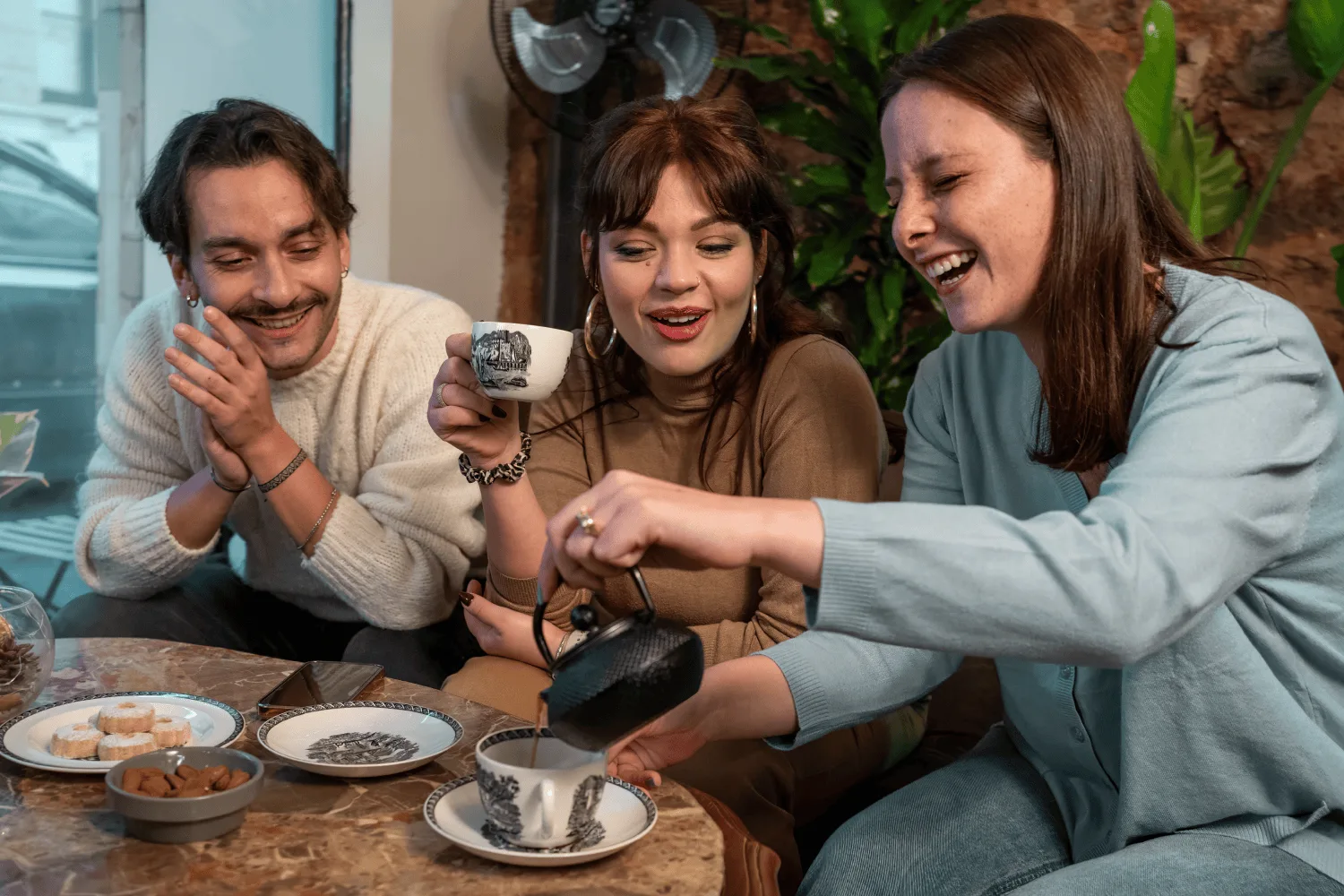 TMS WordPress hero banner