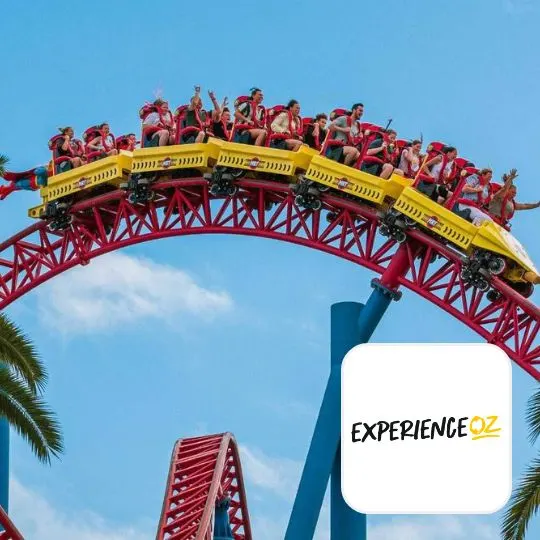 Experience Oz