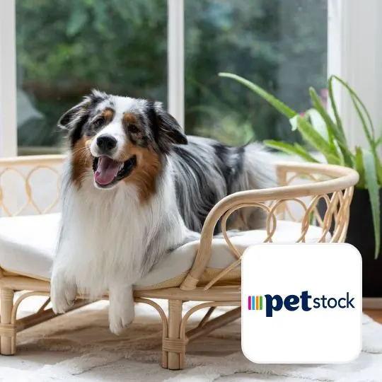 Petstock