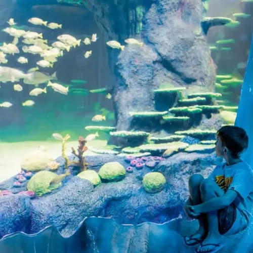 Sydney Aquarium