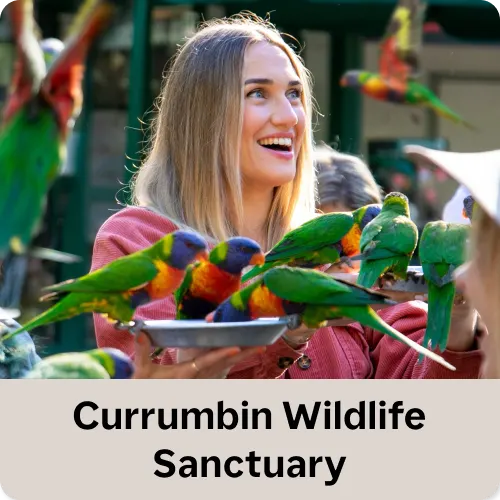 Currumbin Wildlife Sanctuary