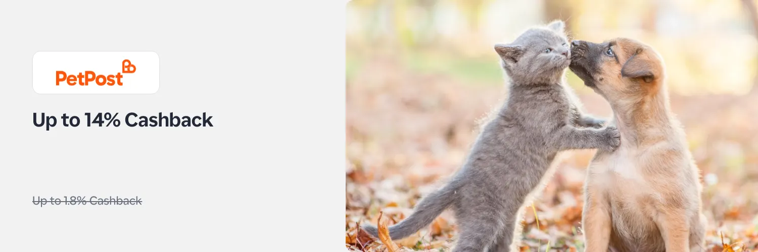 Petpost_2026-09-19_web_best_of_the_day