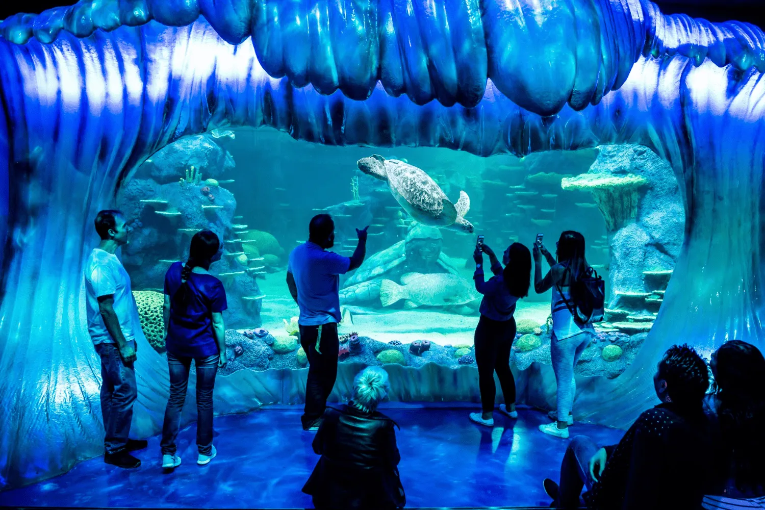 SEA LIFE Sydney Aquarium hero banner
