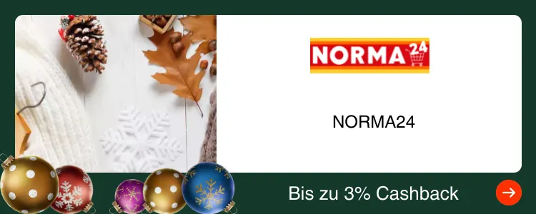 NORMA24_2025-06-30_plat_merchants