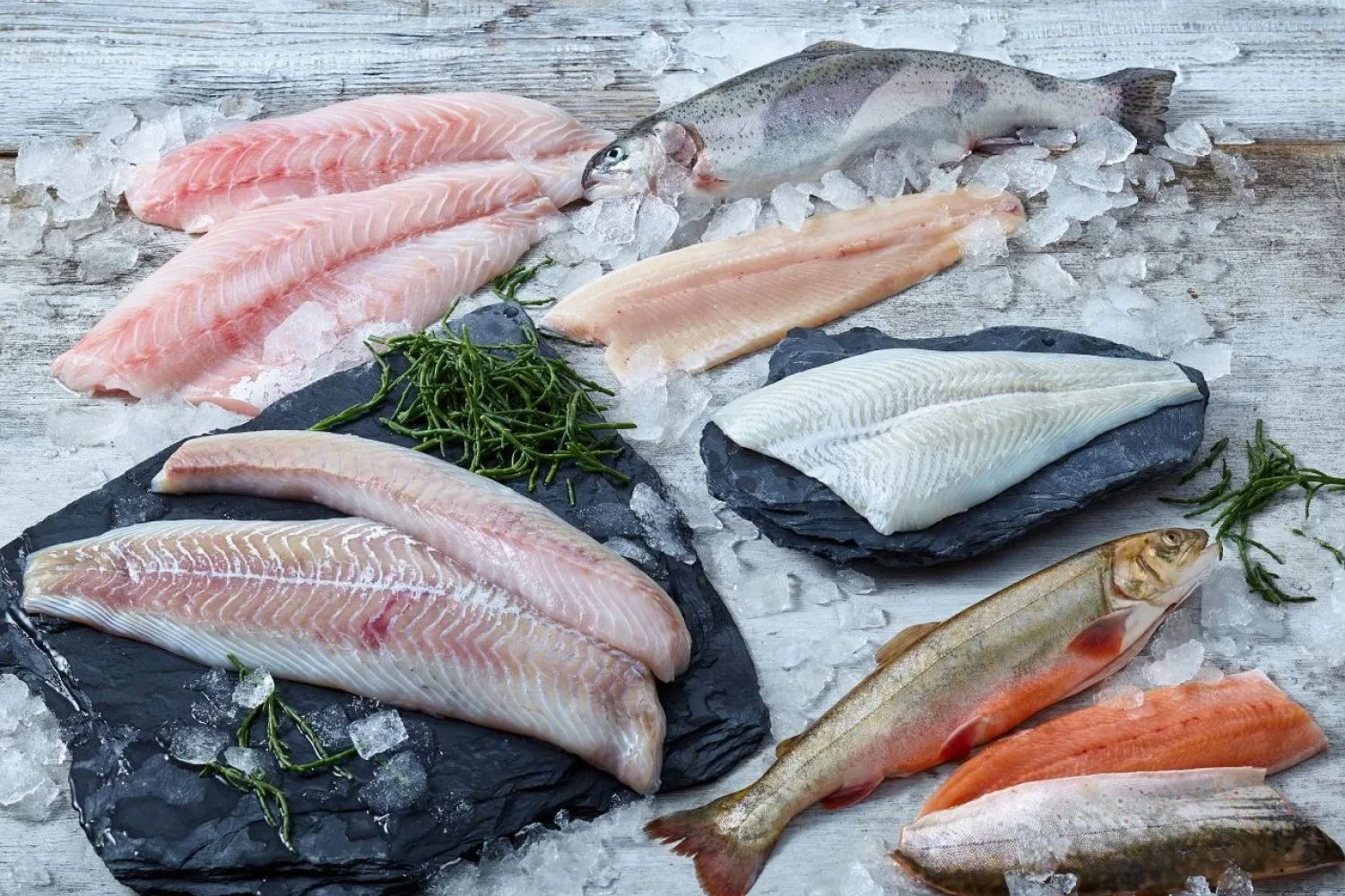 Deutsche See Fischmanufaktur banner