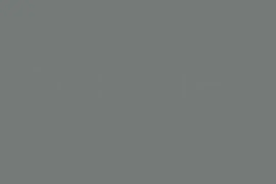 Merchant logo