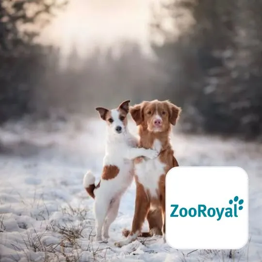 ZooRoyal