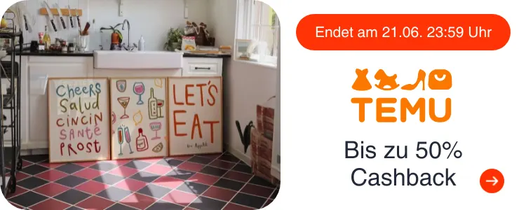 TEMU_2026-06-19_hh_deals