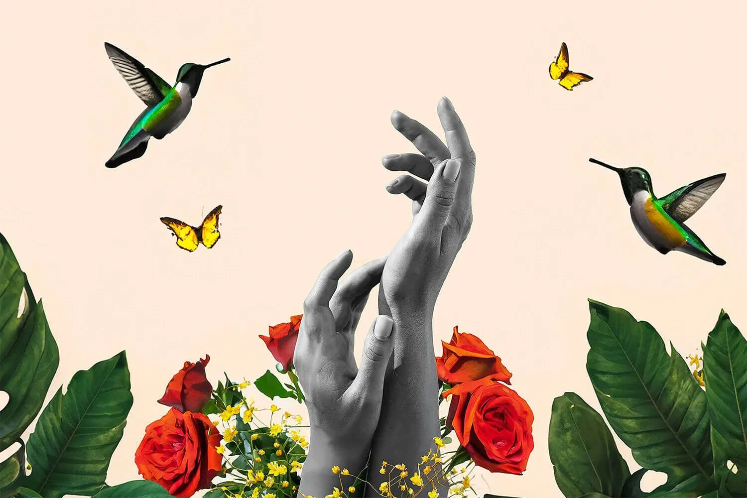 Papique banner