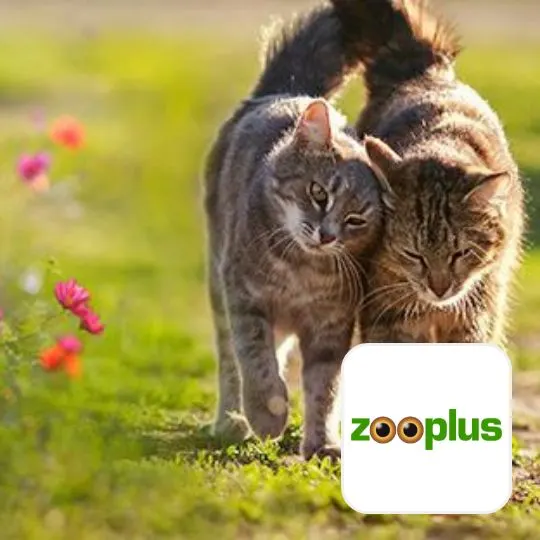 zooplus