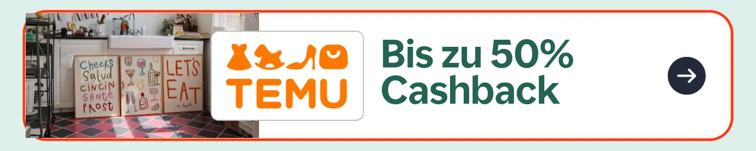 TEMU_2026-06-19_hh_deals