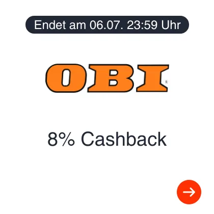 OBI_2025-06-30_plat_merchants