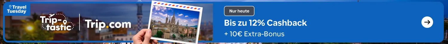 Trip Quest Web