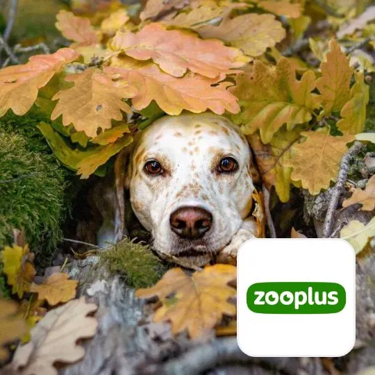 zooplus