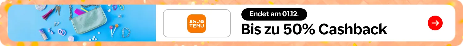 TEMU_2025-11-28_hh_deals