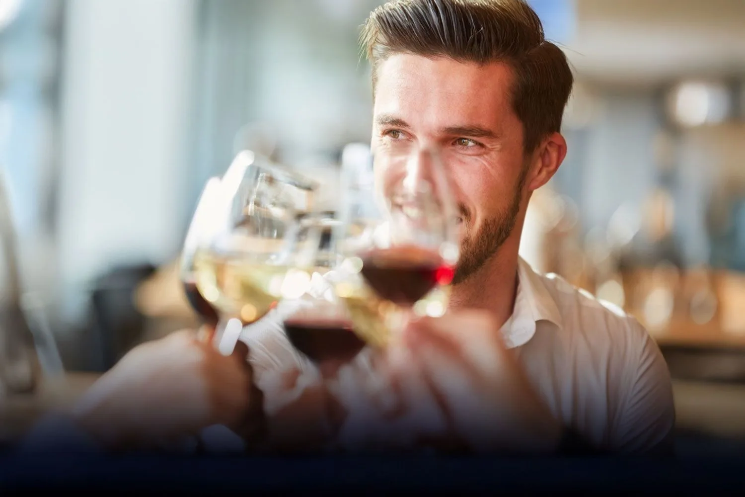 Vino24 banner