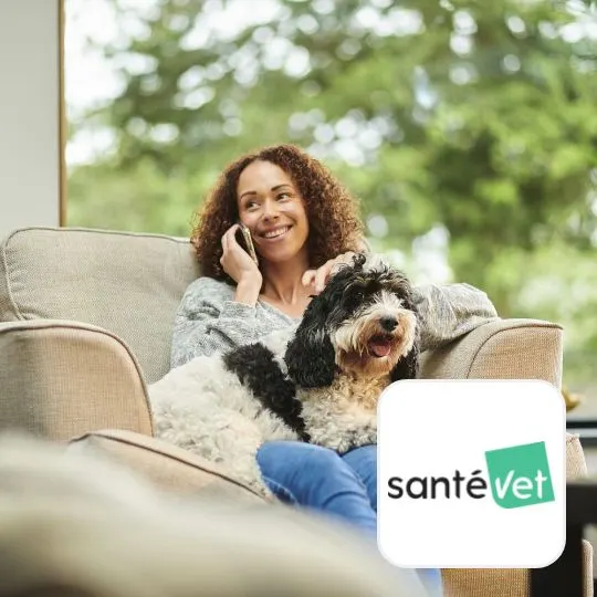 Santévet