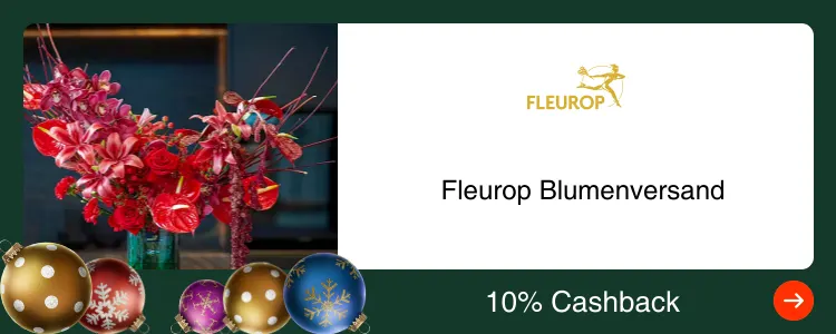 Fleurop Blumenversand_2025-05-04_plat_merchants