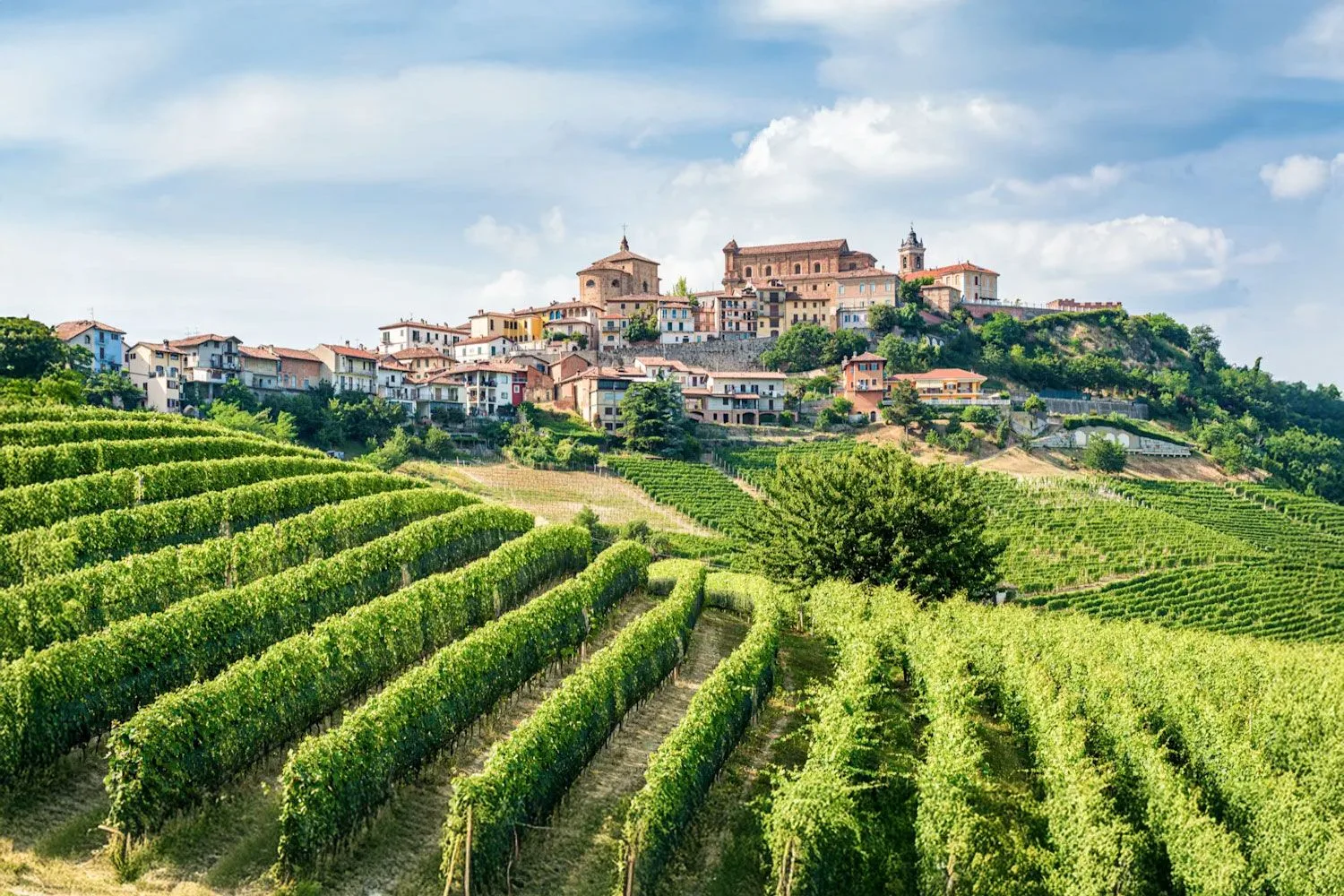 Tourlane hero banner