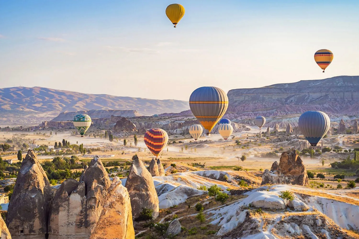 Rakuten Travel banner