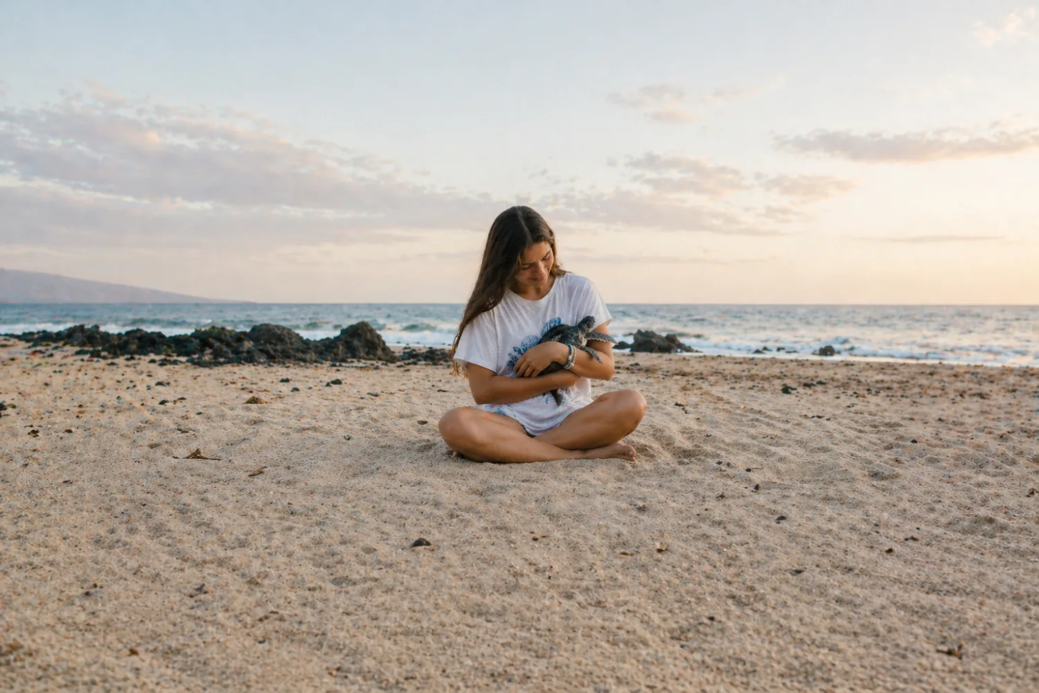 Fahlo hero banner