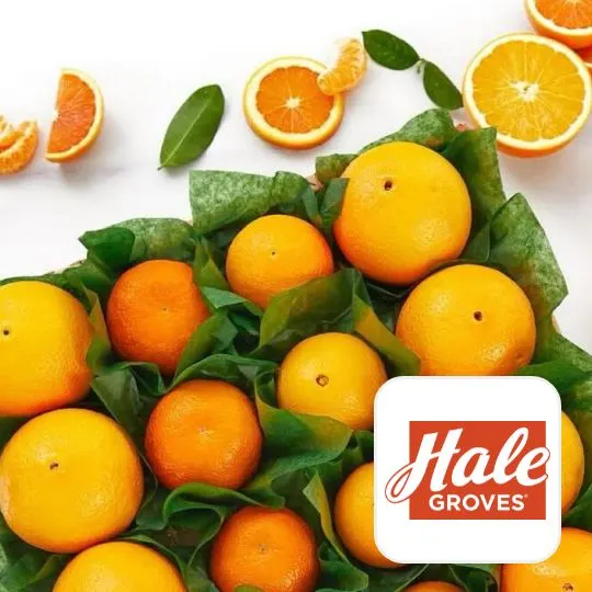 Hale Groves