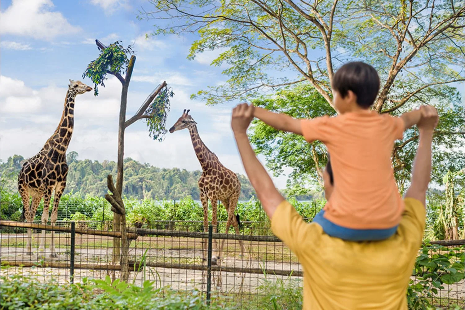 Mandai Wildlife Reserve hero banner