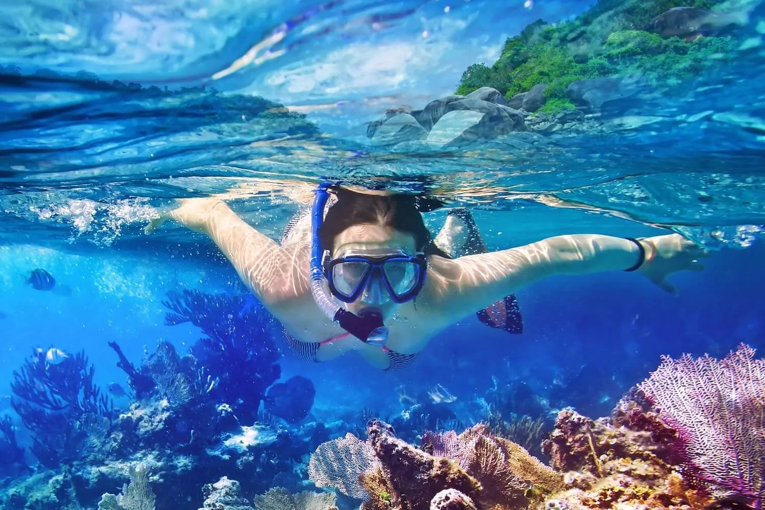 Tripadvisor hero banner