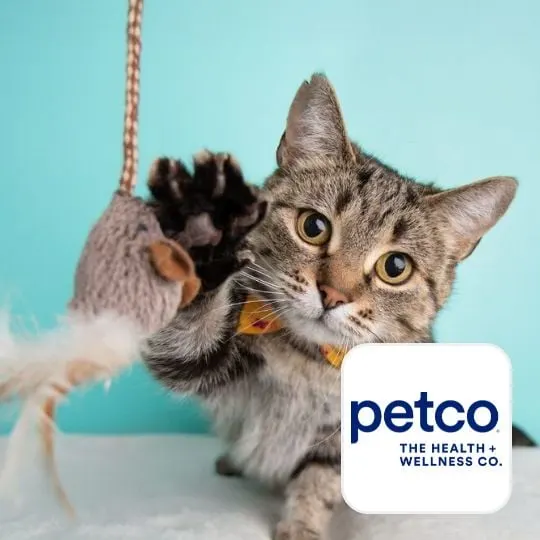 Petco