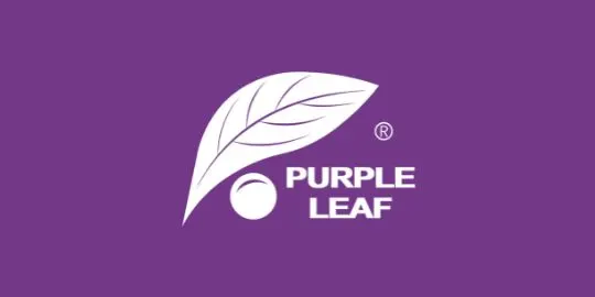 Purple Leaf