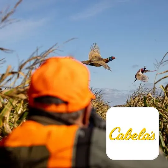 Cabela's