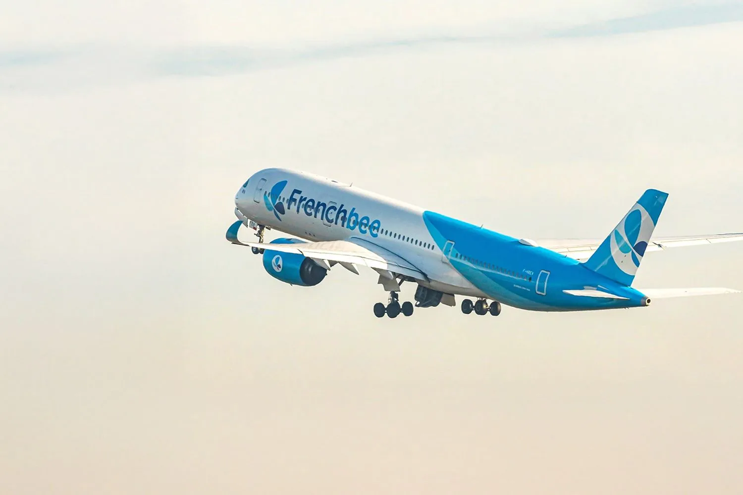 French bee hero banner