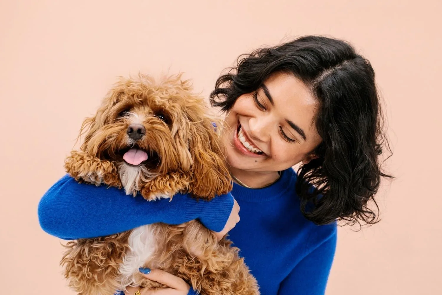 Wisdom Panel hero banner