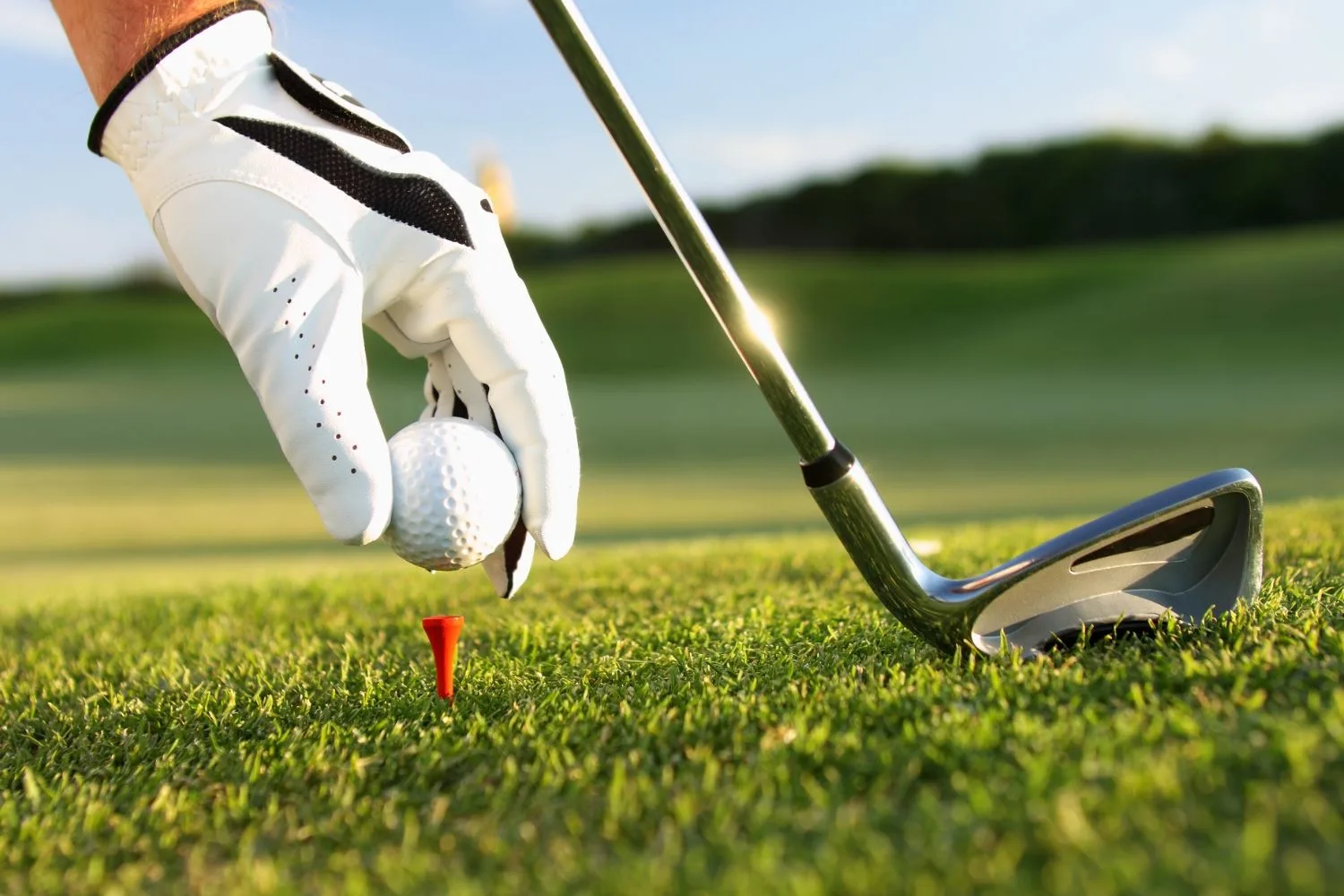 GOLF Partner hero banner