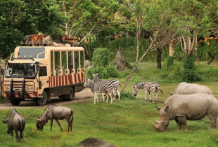 Tiket Masuk Skyworld Indonesia Untuk 1 Orang Rp 49.000