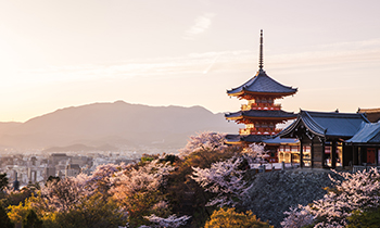 Promo Spesial Jepang & Korea