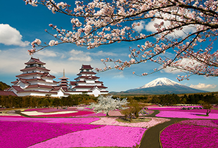 Destination Populer: Tokyo Average Price Rp 2.131.707